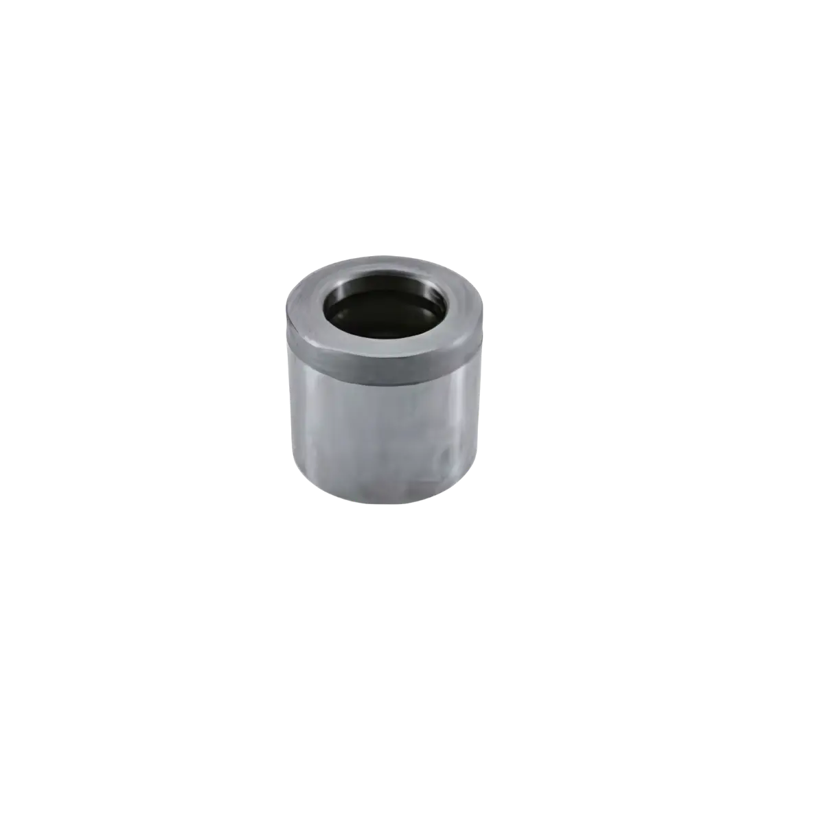 Guide Bush | Manufacture, Supplier and Exporter in India